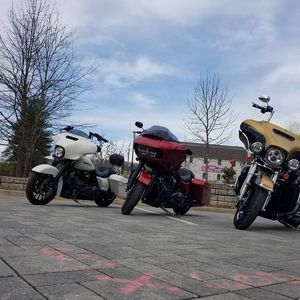 Meet your Posher, Frank